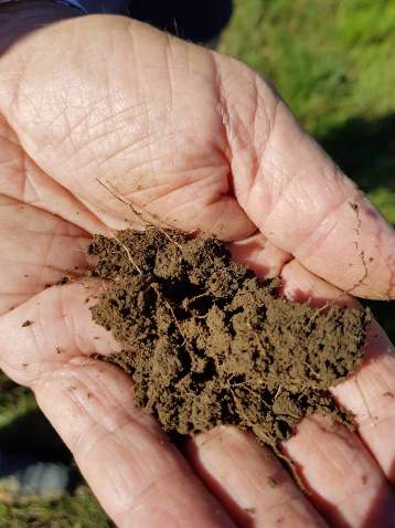 Soil-its-in-our-hands-2